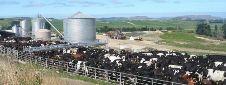 dairy farm 1 1024x768