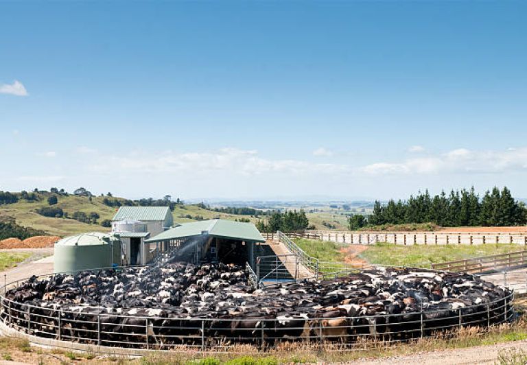 gettyimages 157437525 612x612 v3