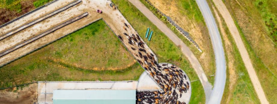 istockphoto 1170515718 612x612