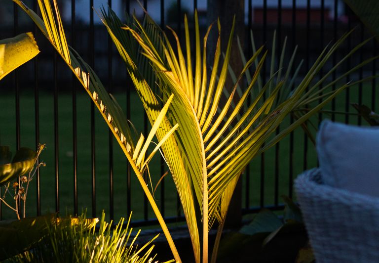 Auckland Electrician 1