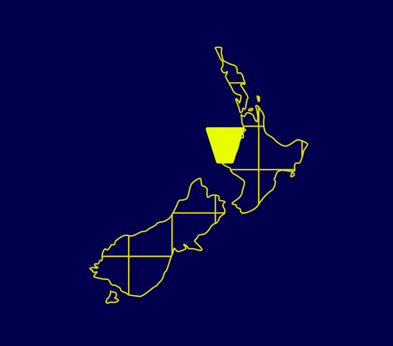 Level NZ Map